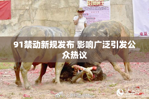 91禁动新规发布 影响广泛引发公众热议