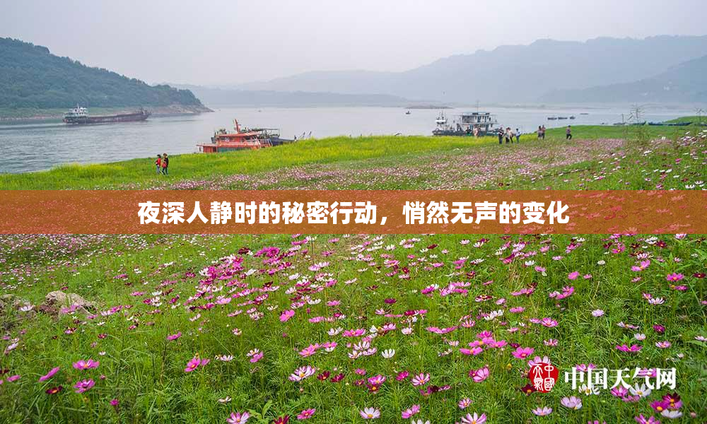 夜深人静时的秘密行动，悄然无声的变化