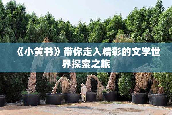《小黄书》带你走入精彩的文学世界探索之旅