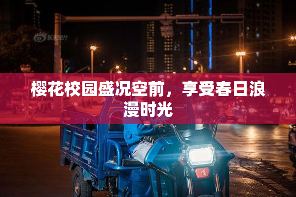 樱花校园盛况空前，享受春日浪漫时光