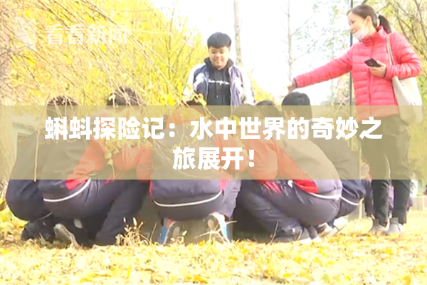 蝌蚪探险记：水中世界的奇妙之旅展开！