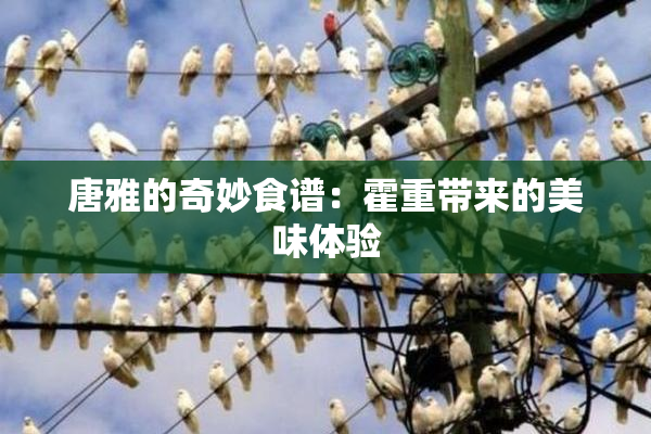 唐雅的奇妙食谱：霍重带来的美味体验