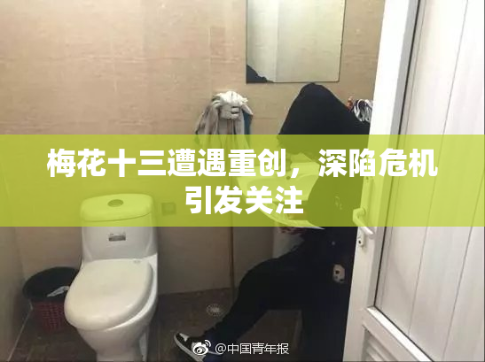梅花十三遭遇重创，深陷危机引发关注