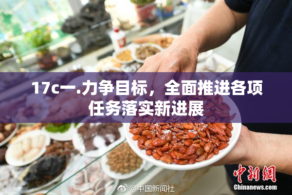 17c一.力争目标，全面推进各项任务落实新进展