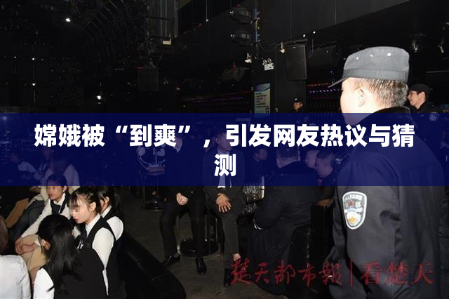 嫦娥被“到爽”，引发网友热议与猜测