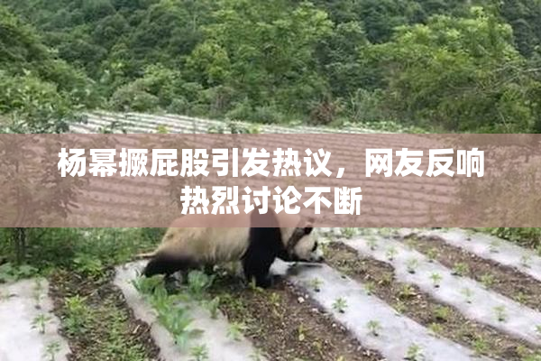 杨幂撅屁股引发热议，网友反响热烈讨论不断