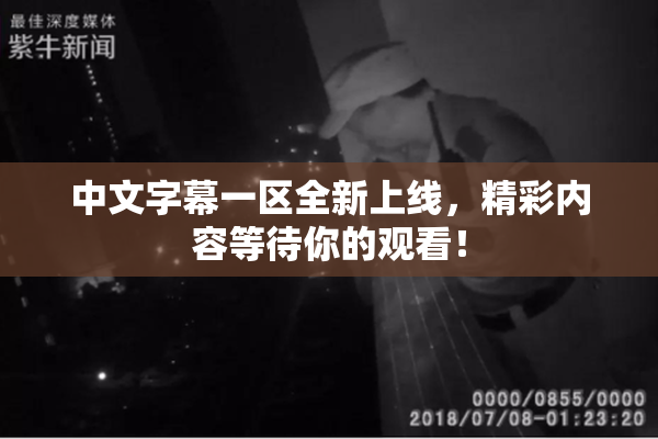 中文字幕一区全新上线，精彩内容等待你的观看！