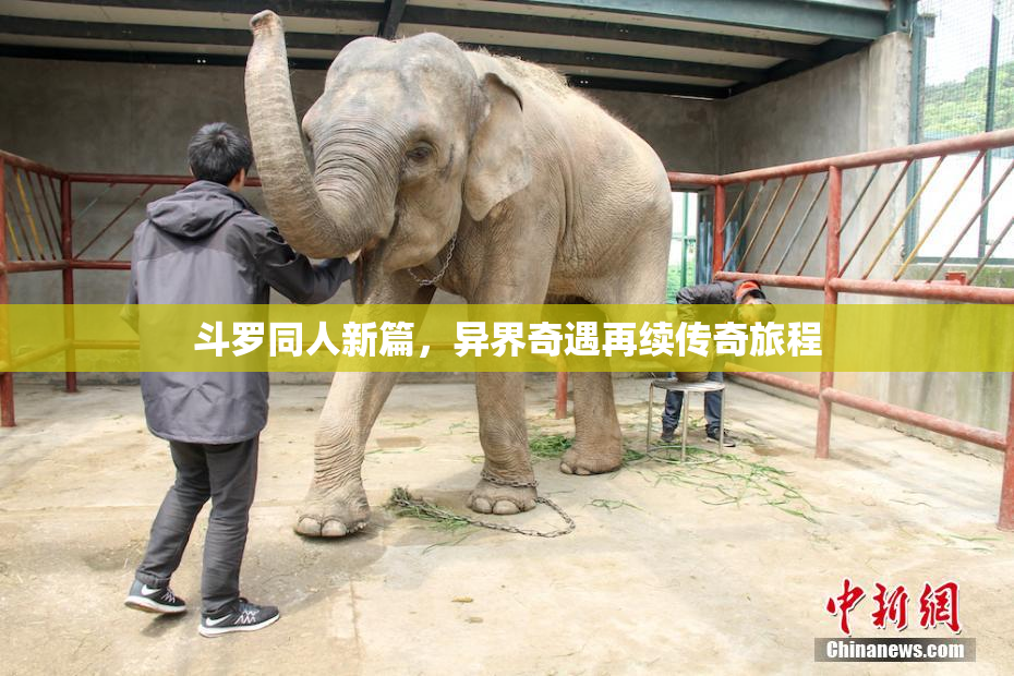 斗罗同人新篇，异界奇遇再续传奇旅程