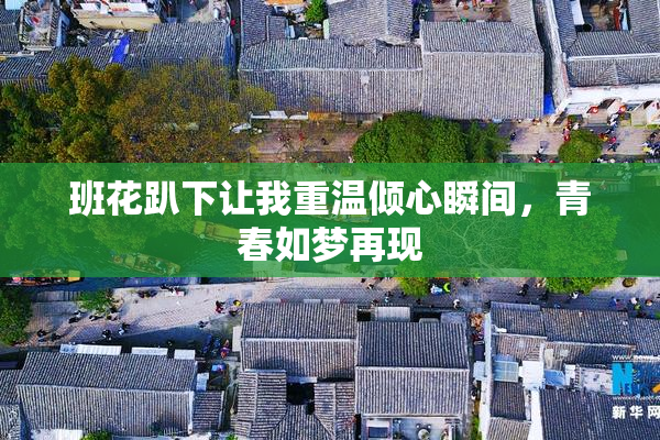 班花趴下让我重温倾心瞬间，青春如梦再现