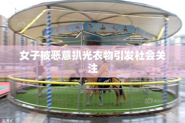 女子被恶意扒光衣物引发社会关注