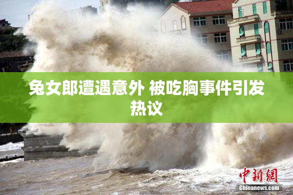 兔女郎遭遇意外 被吃胸事件引发热议