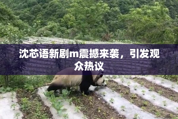 沈芯语新剧m震撼来袭，引发观众热议