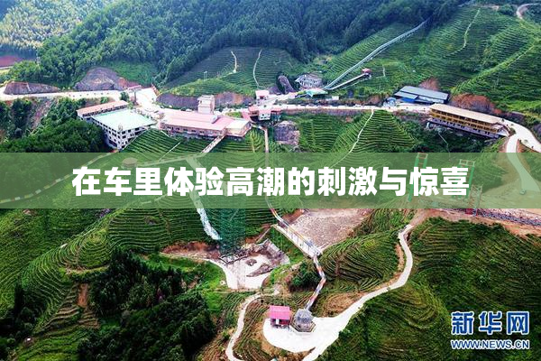 在车里体验高潮的刺激与惊喜