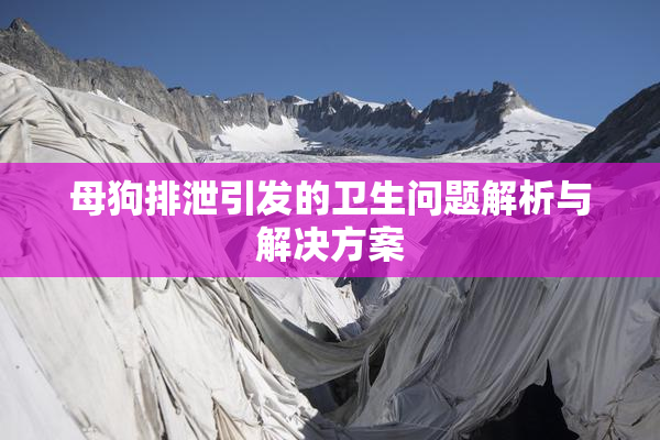母狗排泄引发的卫生问题解析与解决方案