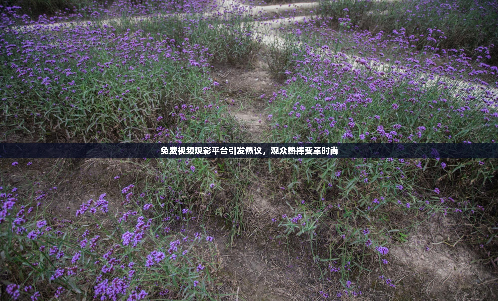 免费视频观影平台引发热议，观众热捧变革时尚