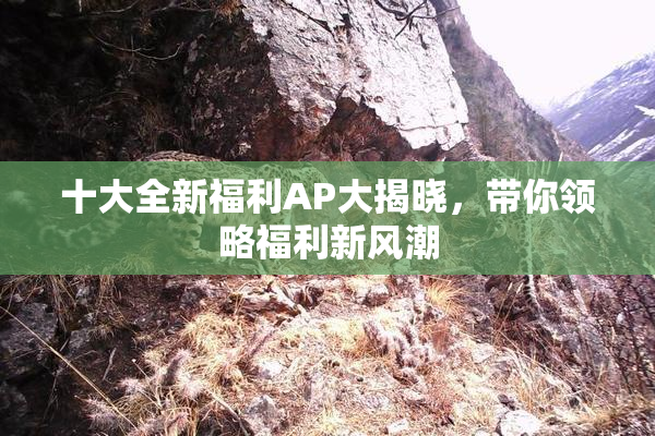 十大全新福利AP大揭晓，带你领略福利新风潮