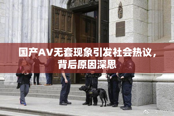 国产AV无套现象引发社会热议，背后原因深思