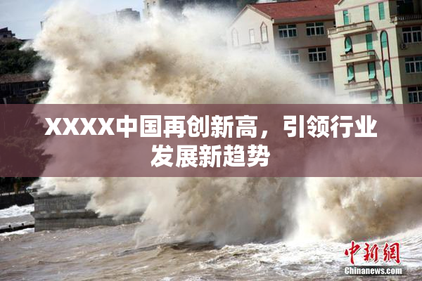 XXXX中国再创新高，引领行业发展新趋势