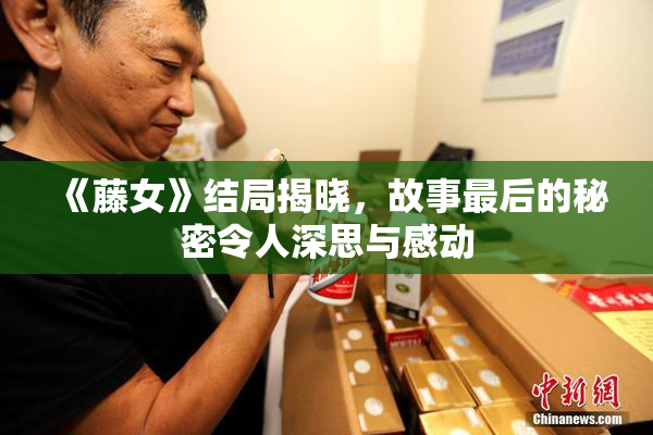 《藤女》结局揭晓，故事最后的秘密令人深思与感动