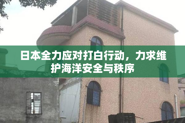 日本全力应对打白行动，力求维护海洋安全与秩序