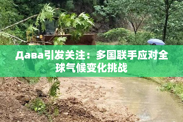 Дава引发关注：多国联手应对全球气候变化挑战