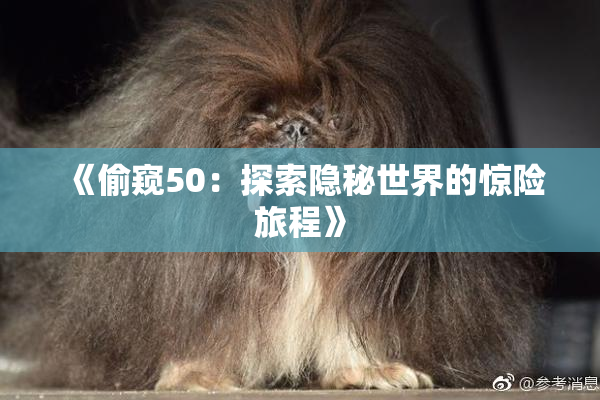 《偷窥50：探索隐秘世界的惊险旅程》