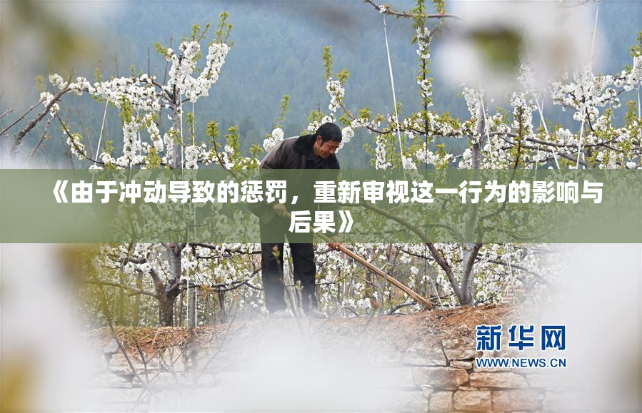 《由于冲动导致的惩罚，重新审视这一行为的影响与后果》