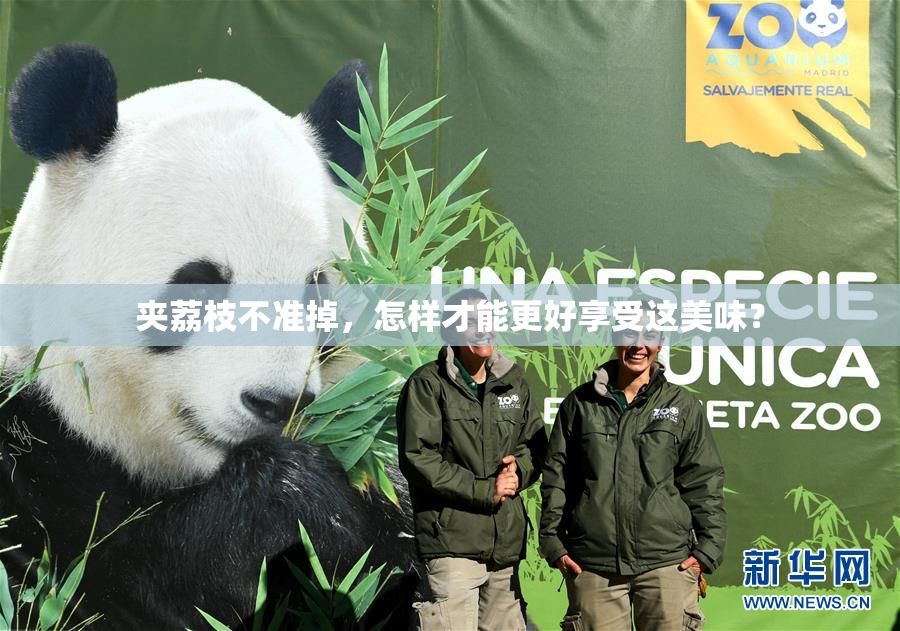 夹荔枝不准掉，怎样才能更好享受这美味？