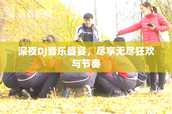 深夜DJ音乐盛宴，尽享无尽狂欢与节奏