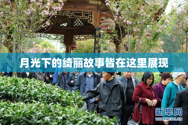 月光下的绮丽故事皆在这里展现