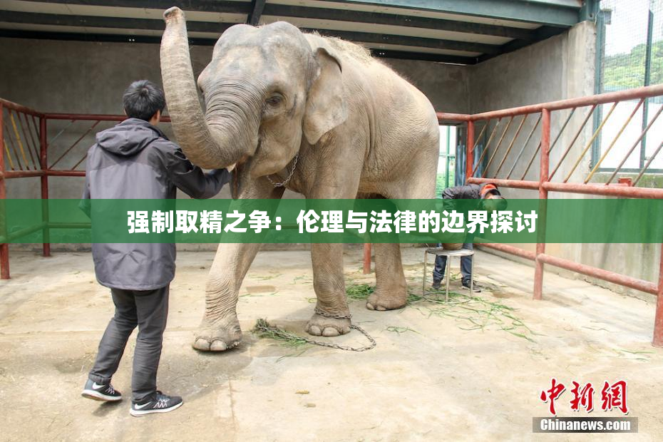强制取精之争：伦理与法律的边界探讨