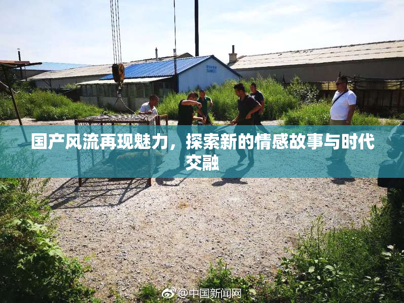 国产风流再现魅力，探索新的情感故事与时代交融