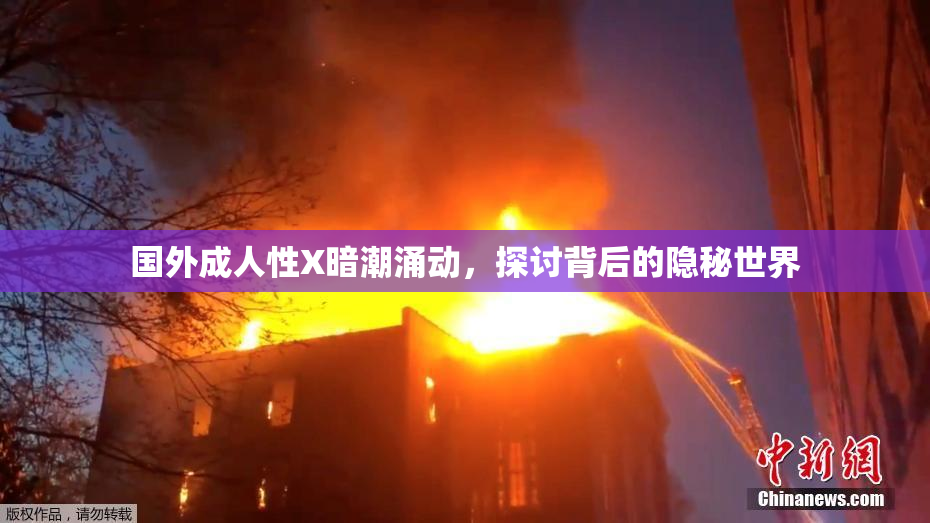 国外成人性X暗潮涌动，探讨背后的隐秘世界