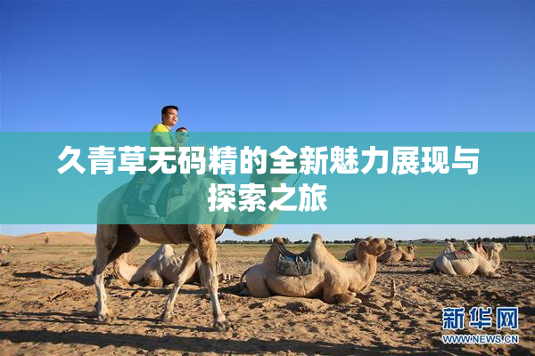 久青草无码精的全新魅力展现与探索之旅