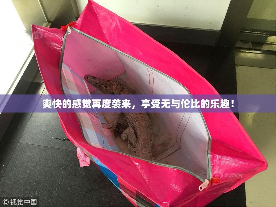 爽快的感觉再度袭来，享受无与伦比的乐趣！