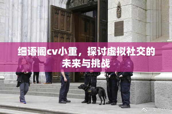 细语阁cv小重，探讨虚拟社交的未来与挑战