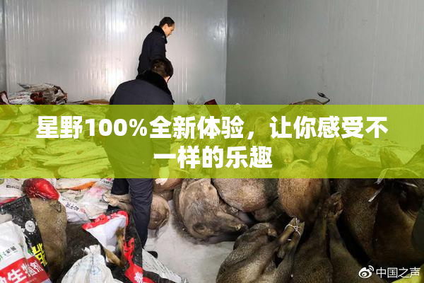 星野100%全新体验，让你感受不一样的乐趣