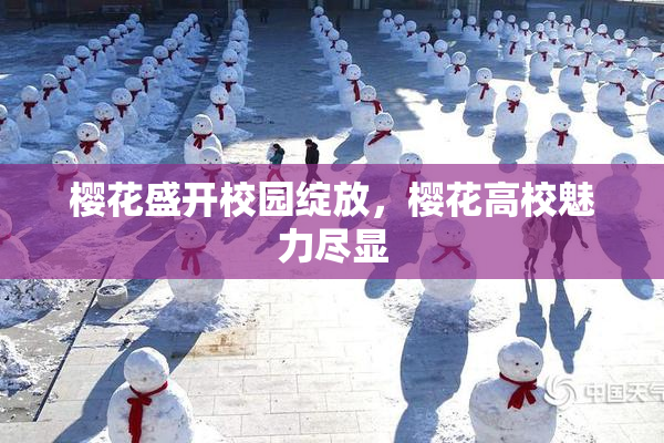 樱花盛开校园绽放，樱花高校魅力尽显
