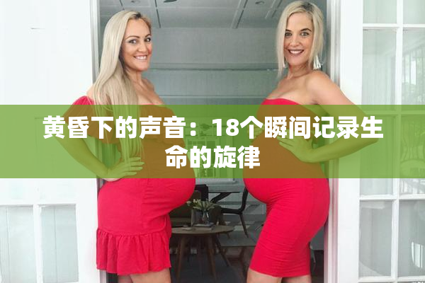黄昏下的声音：18个瞬间记录生命的旋律