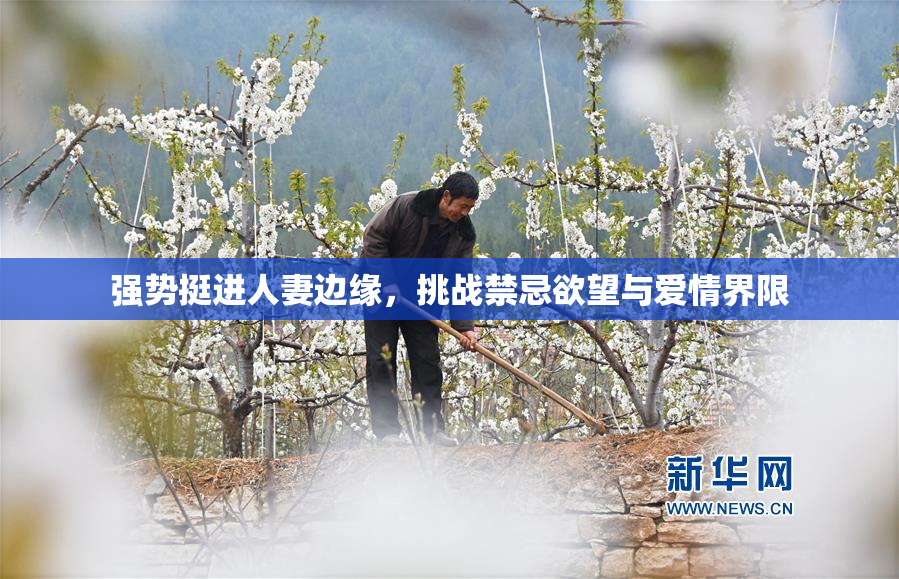 强势挺进人妻边缘，挑战禁忌欲望与爱情界限