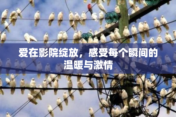 爱在影院绽放，感受每个瞬间的温暖与激情