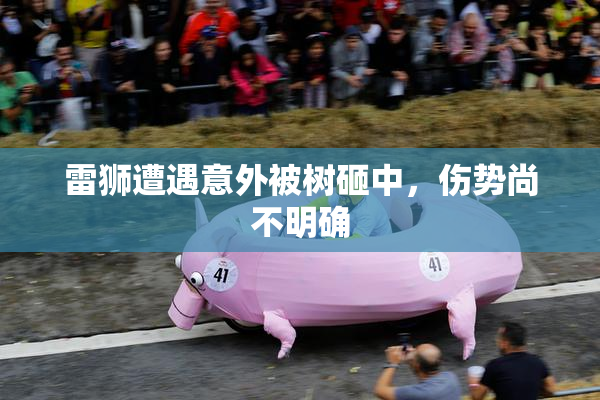 雷狮遭遇意外被树砸中，伤势尚不明确