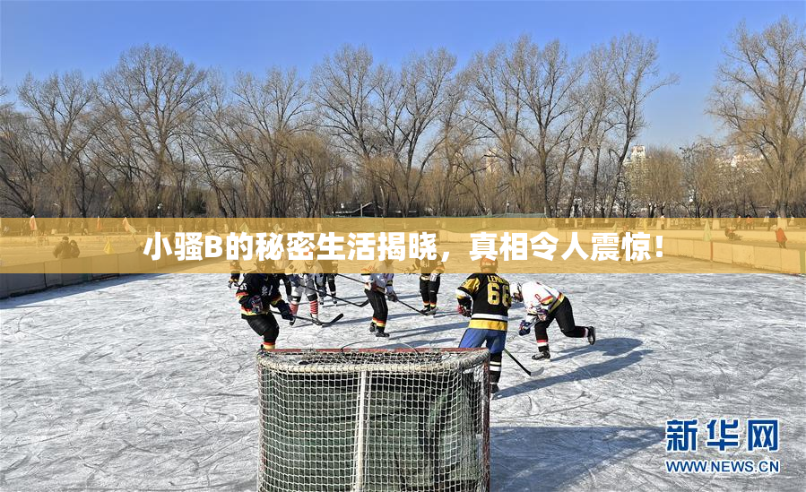 小骚B的秘密生活揭晓，真相令人震惊！