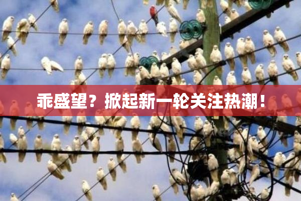 乖盛望？掀起新一轮关注热潮！