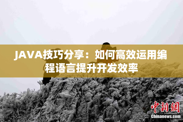 JAVA技巧分享：如何高效运用编程语言提升开发效率