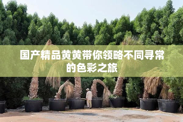 国产精品黄黄带你领略不同寻常的色彩之旅