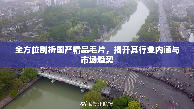 全方位剖析国产精品毛片，揭开其行业内涵与市场趋势