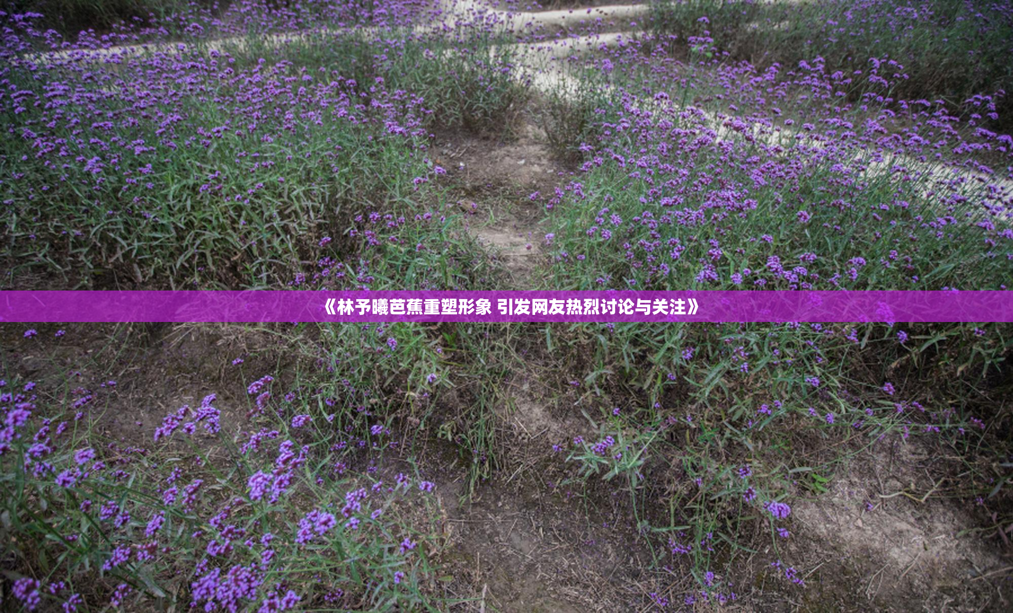 《林予曦芭蕉重塑形象 引发网友热烈讨论与关注》