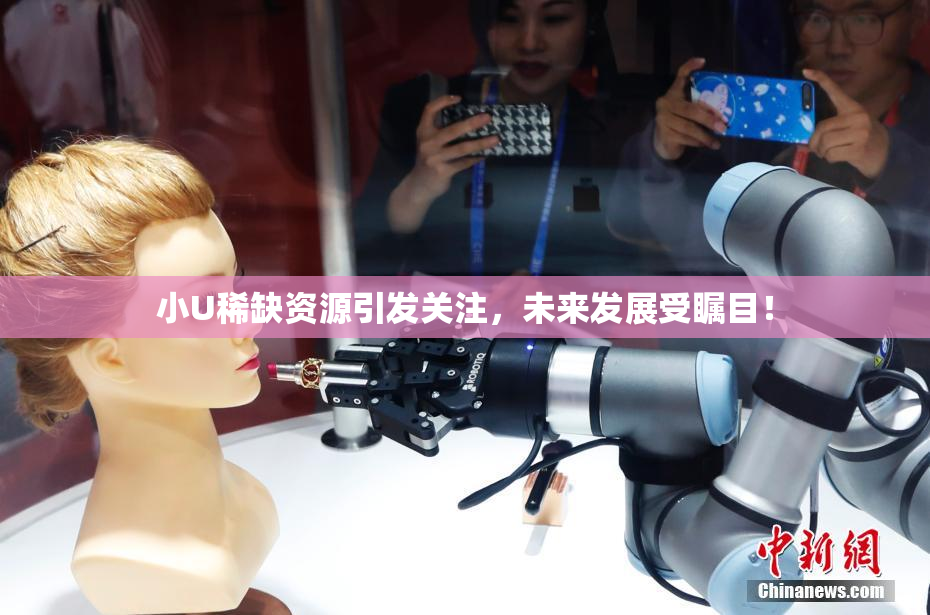 小U稀缺资源引发关注，未来发展受瞩目！