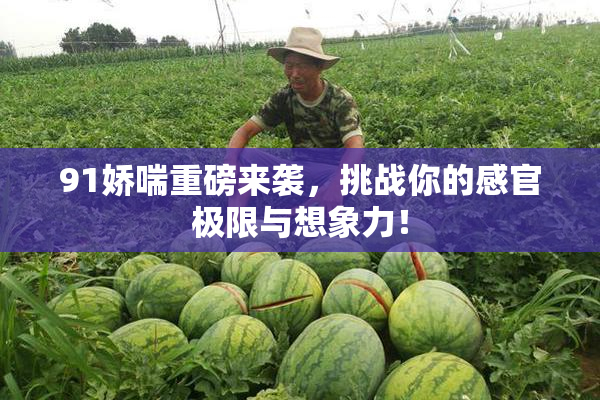 91娇喘重磅来袭，挑战你的感官极限与想象力！